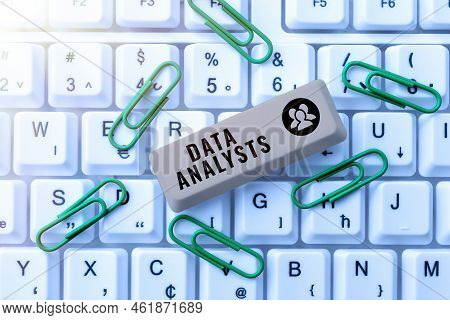 Text Sign Showing Data Analysts. Concept Meaning Programmer Design And Create Report Identifies Patt