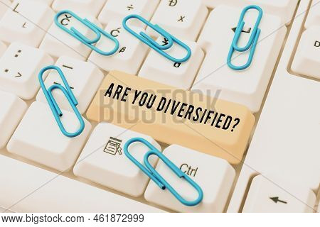 Text Caption Presenting Are You Diversified Question. Business Overview Someone Who Is Different Mix