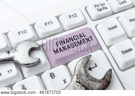 Text Showing Inspiration Financial Management. Concept Meaning Efficient And Effective Way To Manage