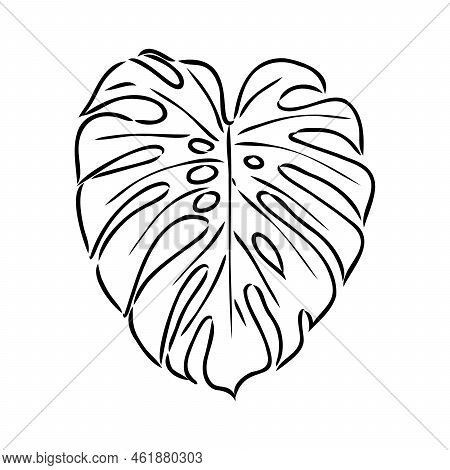 Exotic Monstera. Continuous One-line Drawing. Handmade Summer Tropical Leaf On White Background. Min