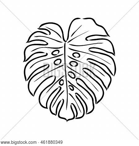 Exotic Monstera. Continuous One-line Drawing. Handmade Summer Tropical Leaf On White Background. Min