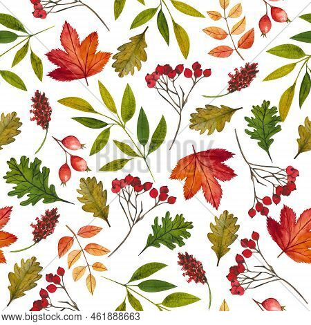 Autumn Pattern With Red And Yellow Leaves And Rowan Branches. Seamless Pattern Without Background Fo