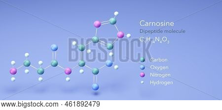 Carnosine, Molecular Structures, Dipeptide Molecule, 3d Model, Structural Chemical Formula And Atoms