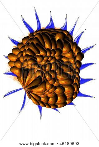 virus