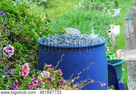 A Blue Barrel For Collecting Rainwater. Collecting Rainwater In A Plastic Container. Collecting Rain