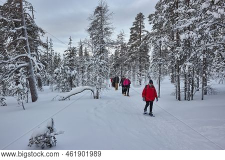 Saariselka, Finland - Circa 2022: Group hiking in snowshoes over snowy winter trails in Finnish Lapland, beyond the arctic circle. Snowshoe adventure