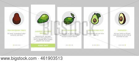 Avocado Food Green Half Onboarding Mobile Vector. Vegetable Slice Fresh, Healthy Organic Seed, Tropi