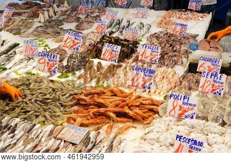 Large Shrimps. Calamari, Octopuses And Many Different Types Of Fish On Ice In The Market. The Concep