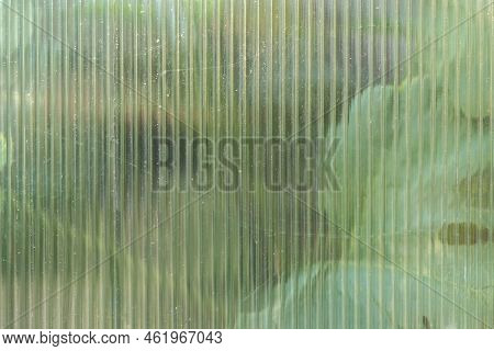 The Texture Of Transparent Polycarbonate. Transparent Plastic Material For Greenhouses. Corrugated W