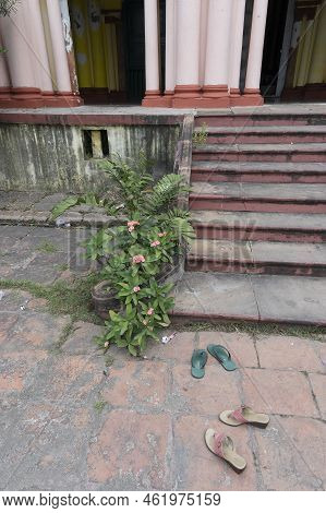 Howrah, West Bengal, India - 26th October 2020 : Cactus Plant At Shib Mandir, Temple For Worshipping