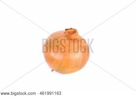 Onion, Which Has The Scientific Name Allium Cepa Linnaeus, Is A Type Of Onion That You Often Find In