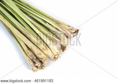 Lemongrass Leaf Isolated On White Background, Lemongrass Is A Plant Belonging To The Grass Tribe Whi