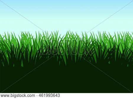Grass. Nature Rural Landscape. Pasture Overgrown. Overgrown Dense Lawn. Horizontal Seamless Illustra