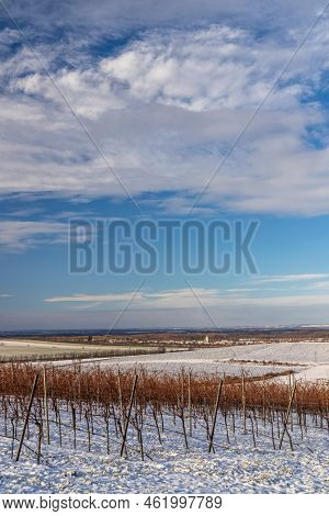 Winter landscape near Popice, Southern Moravia, Czech Republic