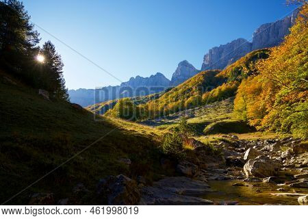 Forest in Anso Valley, Huesca Province in Aragon in Spain.