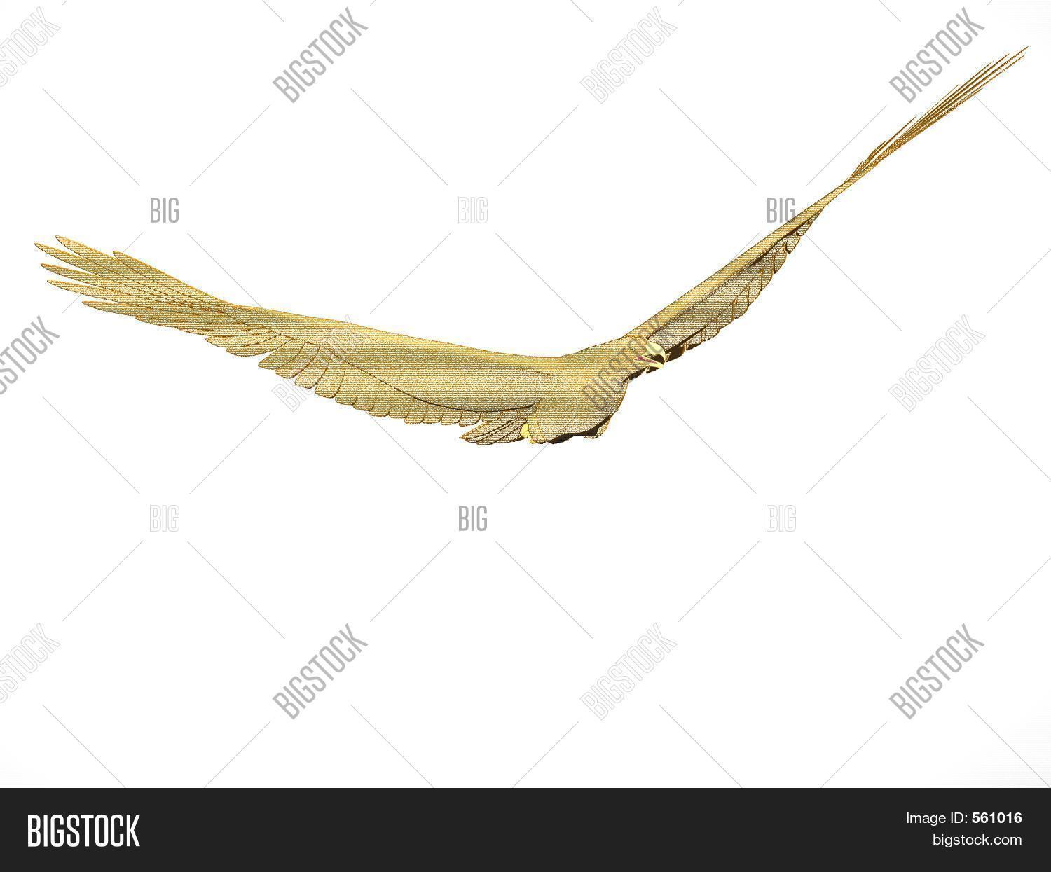 Soaring Eagle Image & Photo (Free Trial) | Bigstock