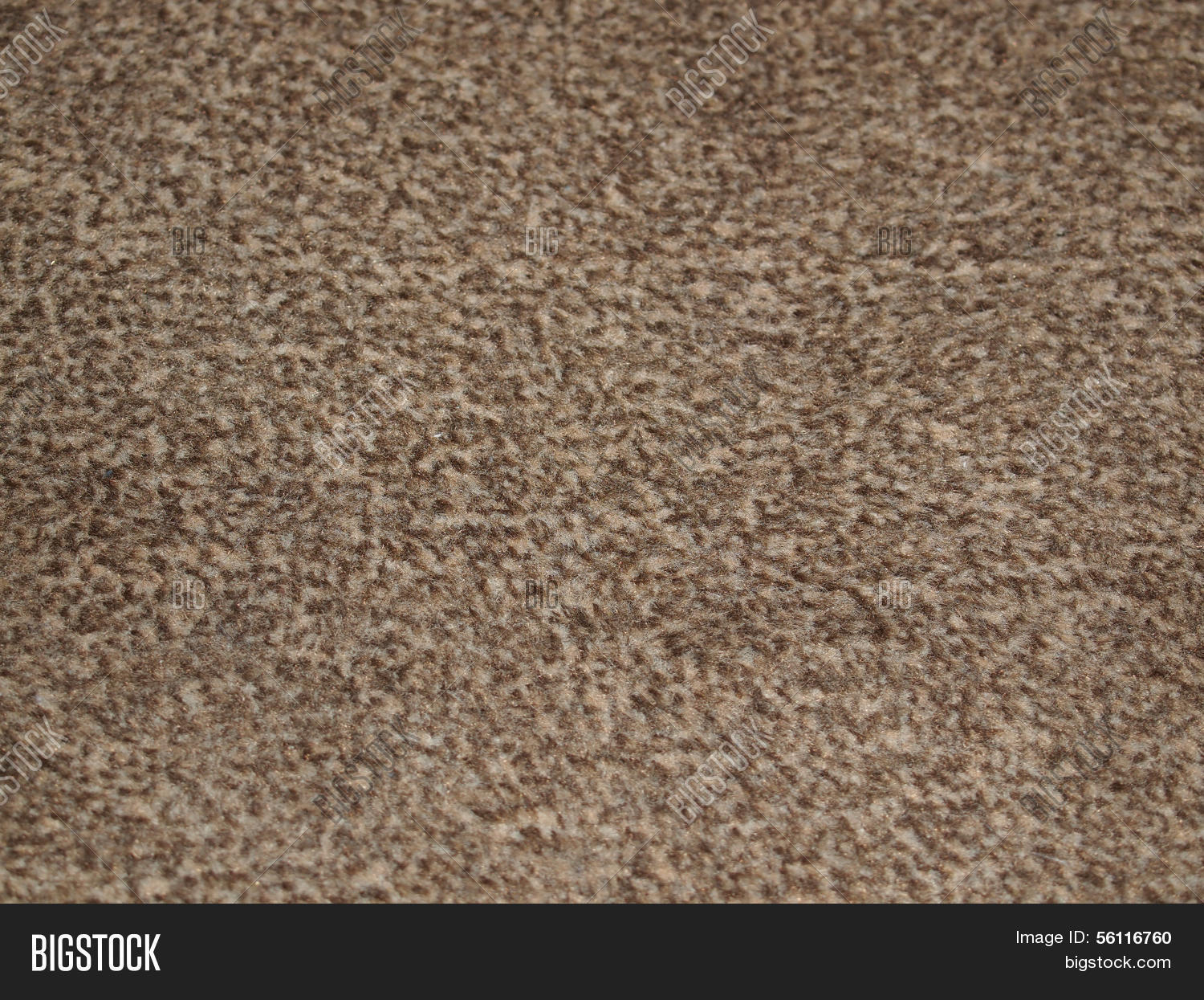Moquette Fabric Carpet Image & Photo (Free Trial) Bigstock