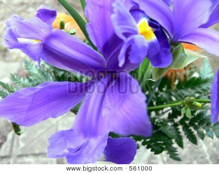 Blomster