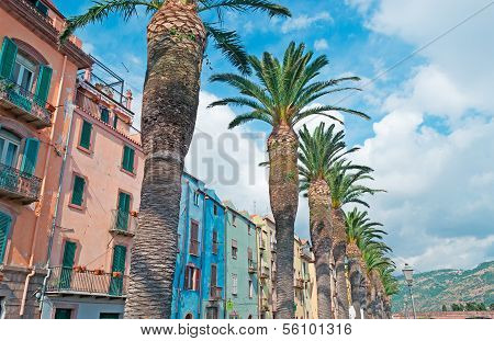 Palm Trees And Old Buildings In Bosa