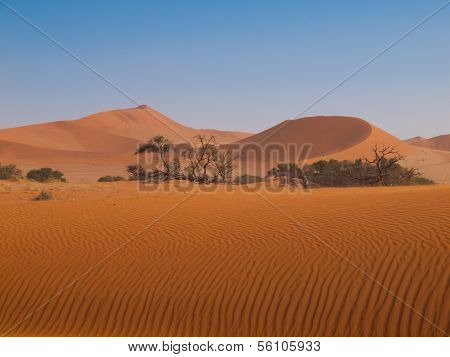 Red Dune Of Namid Desert