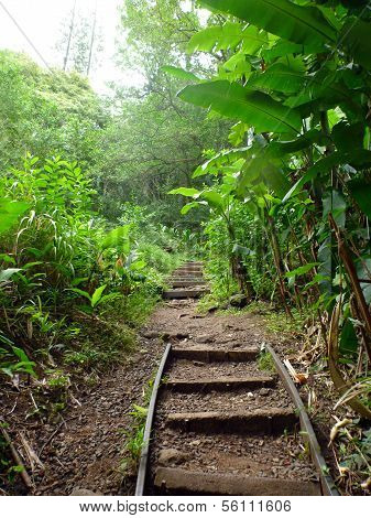 Step Path Up Tantalus Mountain