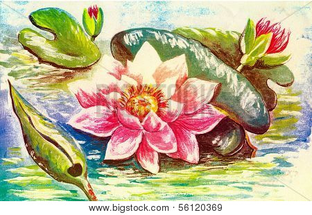 Floral Postcard