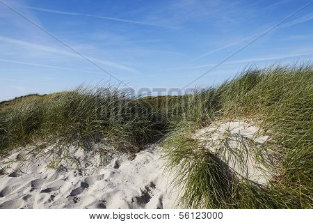 Sylt (germany) - Sand Dune At Puan Klent