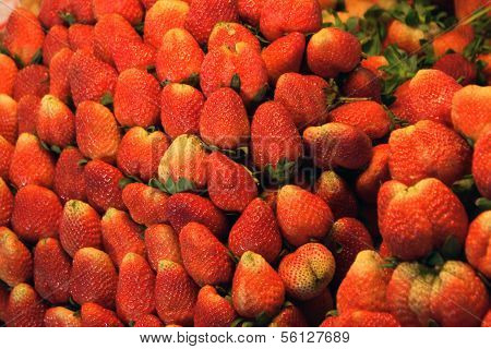 Strawberries Fresh