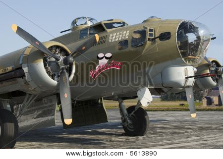 b 17 Nase view2