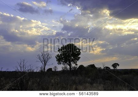 Hwange National Park