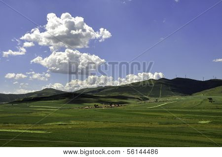Bashang Prairie