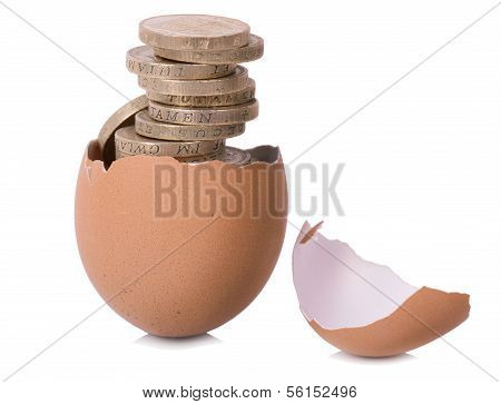 New Nest Egg