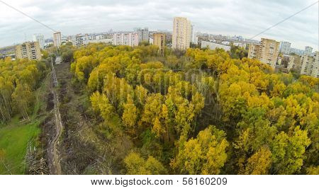 Power lines among trees with colorful foliage in park on Elk island at Moscow, view from unmanned quadrocopter.