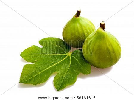 Figs Couple