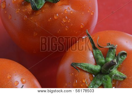 Tomato
