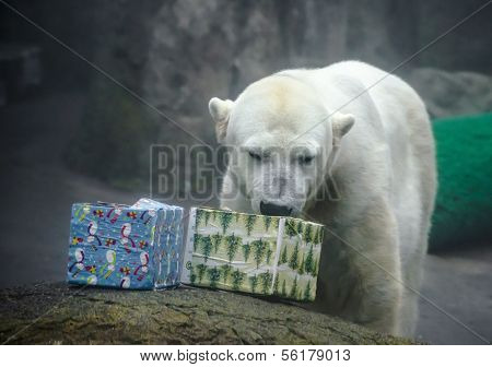 Polar Bear With Christmas Gifts