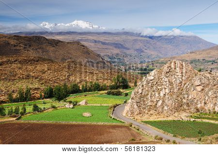 Colca Valley, Peru
