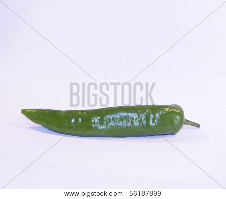 Green chili pepper