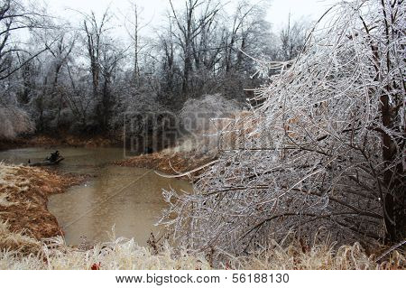 Trees break under the weight of winter ice