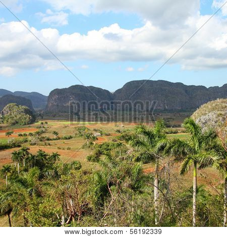Cuba - Vinales