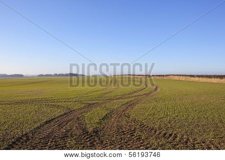 Tractor Tracks