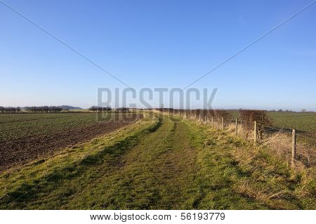 Morning Landscape