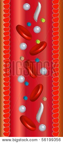 A graphic profile showing a bloodstream and its components.