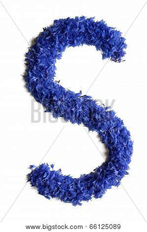 Letter S Made Of Flowers (cornflowers) Isolated On White Background
