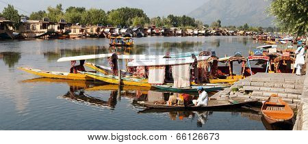 Shikara boats on Dal Lake with houseboats in Srinagar