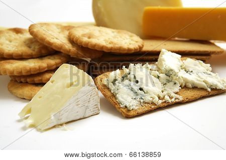 Cheese And Cracker Collection Studio