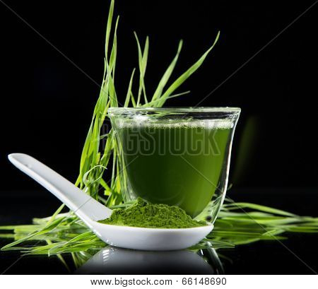 Young barley and chlorella spirulina. Detox superfood.