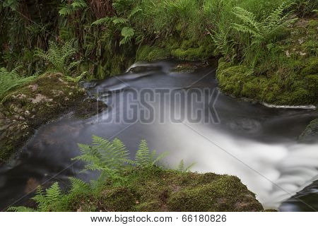 Dartmoor Brook