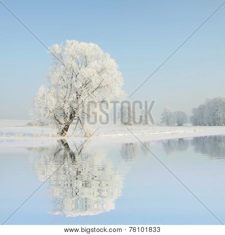 Winter tree sunrise Nature landscape Nature background Nature background landscape frost snow Nature landscape background landscape Nature landscape Nature landscape Nature landscape trees Nature background Nature background landscape Nature background.
