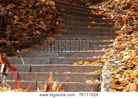 Stone steps in autumn park
